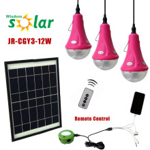 Rural areas solar home lamps with 3 LED bulbs and mobile charger